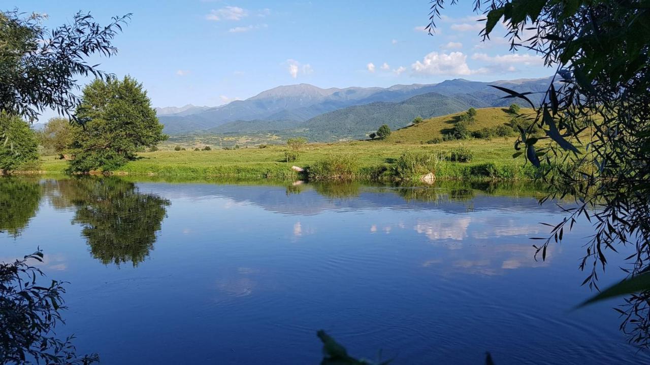 Casuta Din Rusca Vila Sebesu de Jos Exterior foto