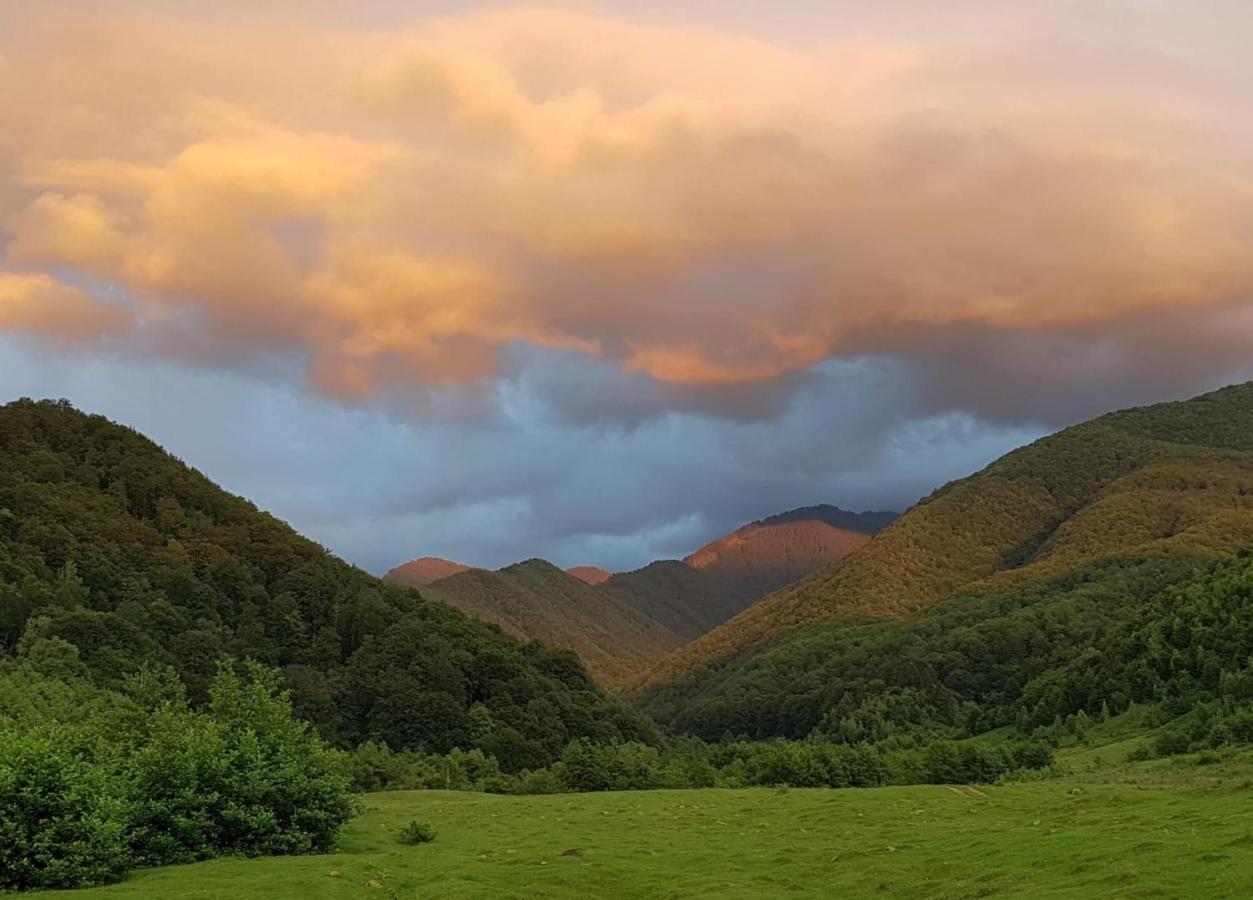 Casuta Din Rusca Vila Sebesu de Jos Exterior foto