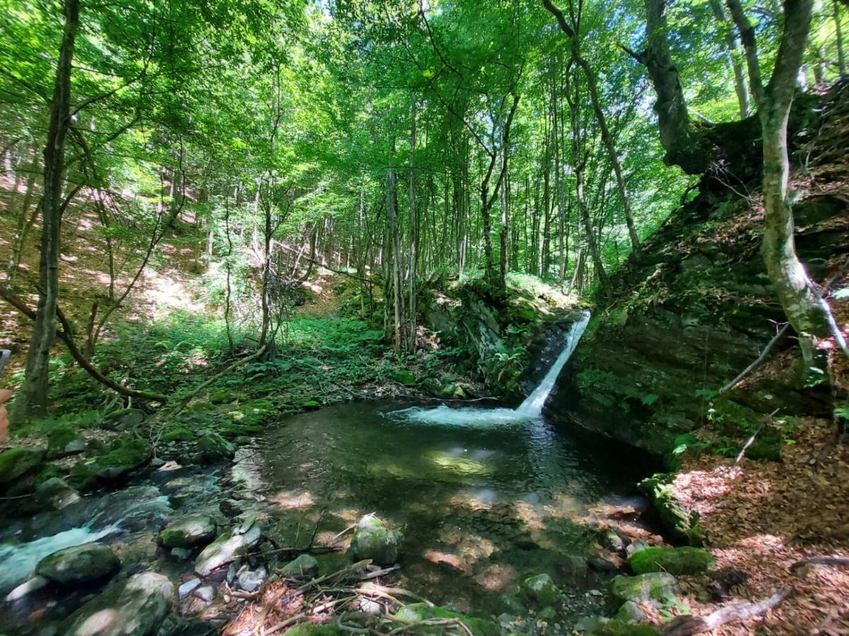 Casuta Din Rusca Vila Sebesu de Jos Exterior foto